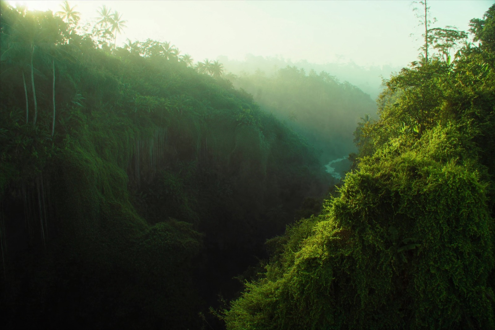Bali, the Full Week