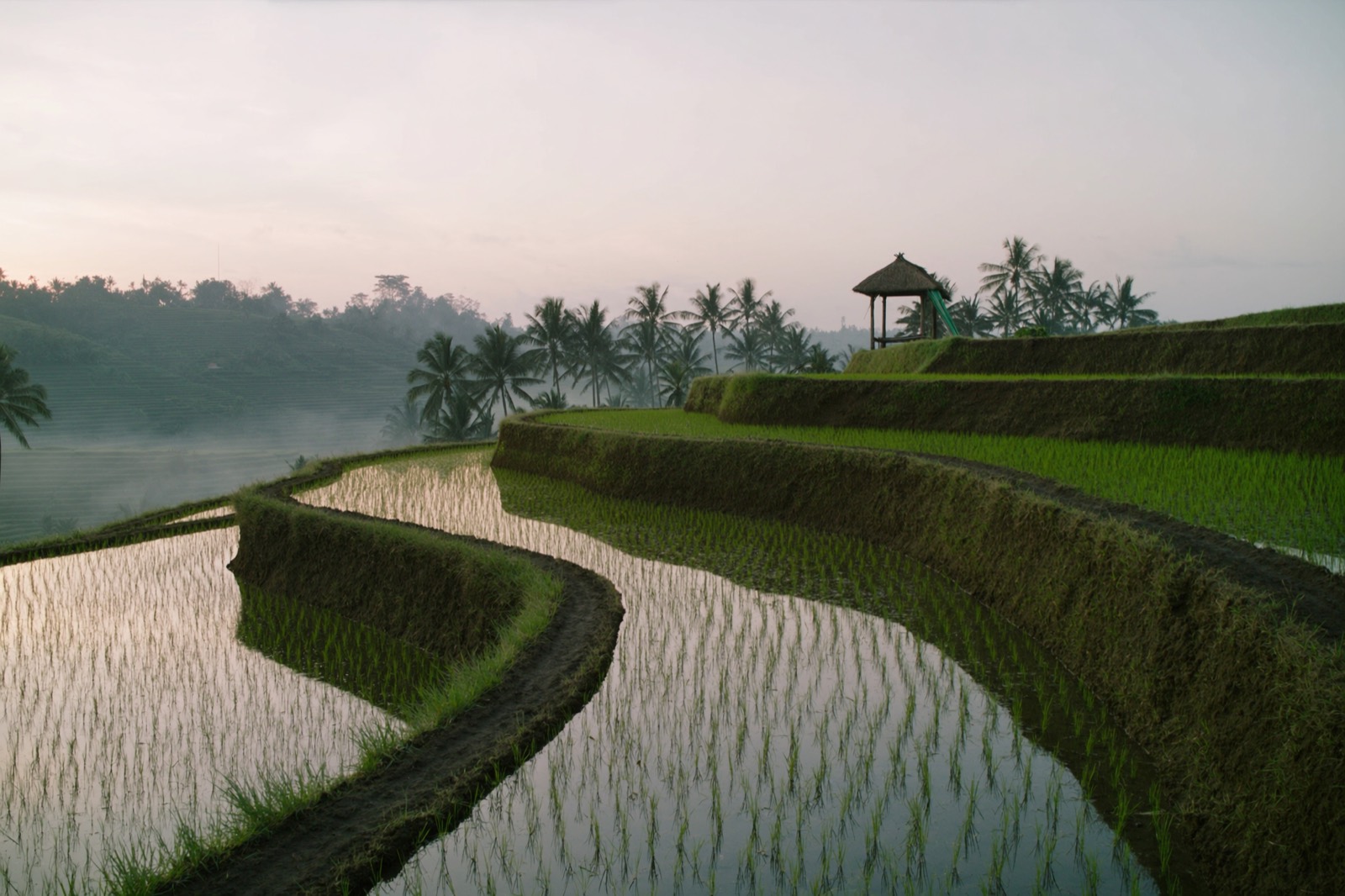 Bali, the Two of Us
