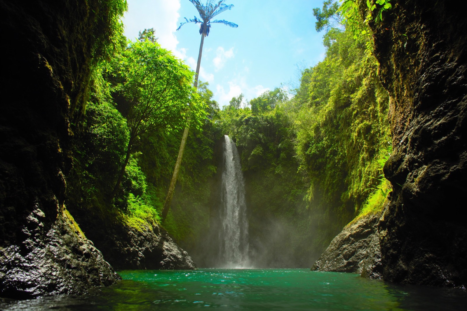 Bali, Waterfalls and Wildlife