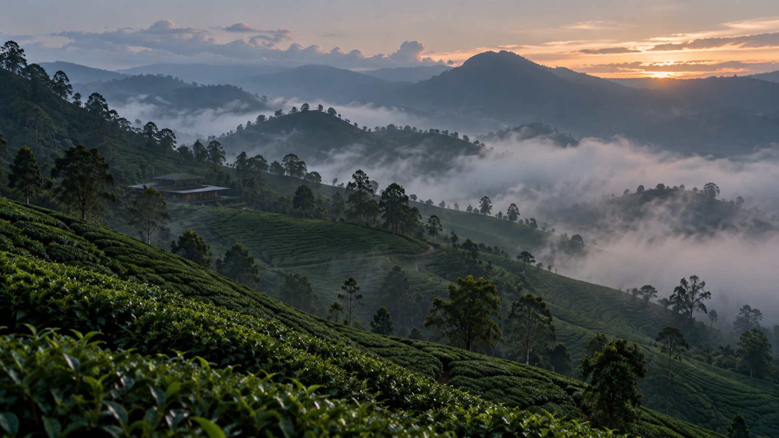 Hill Country, Quiet — Sri Lanka