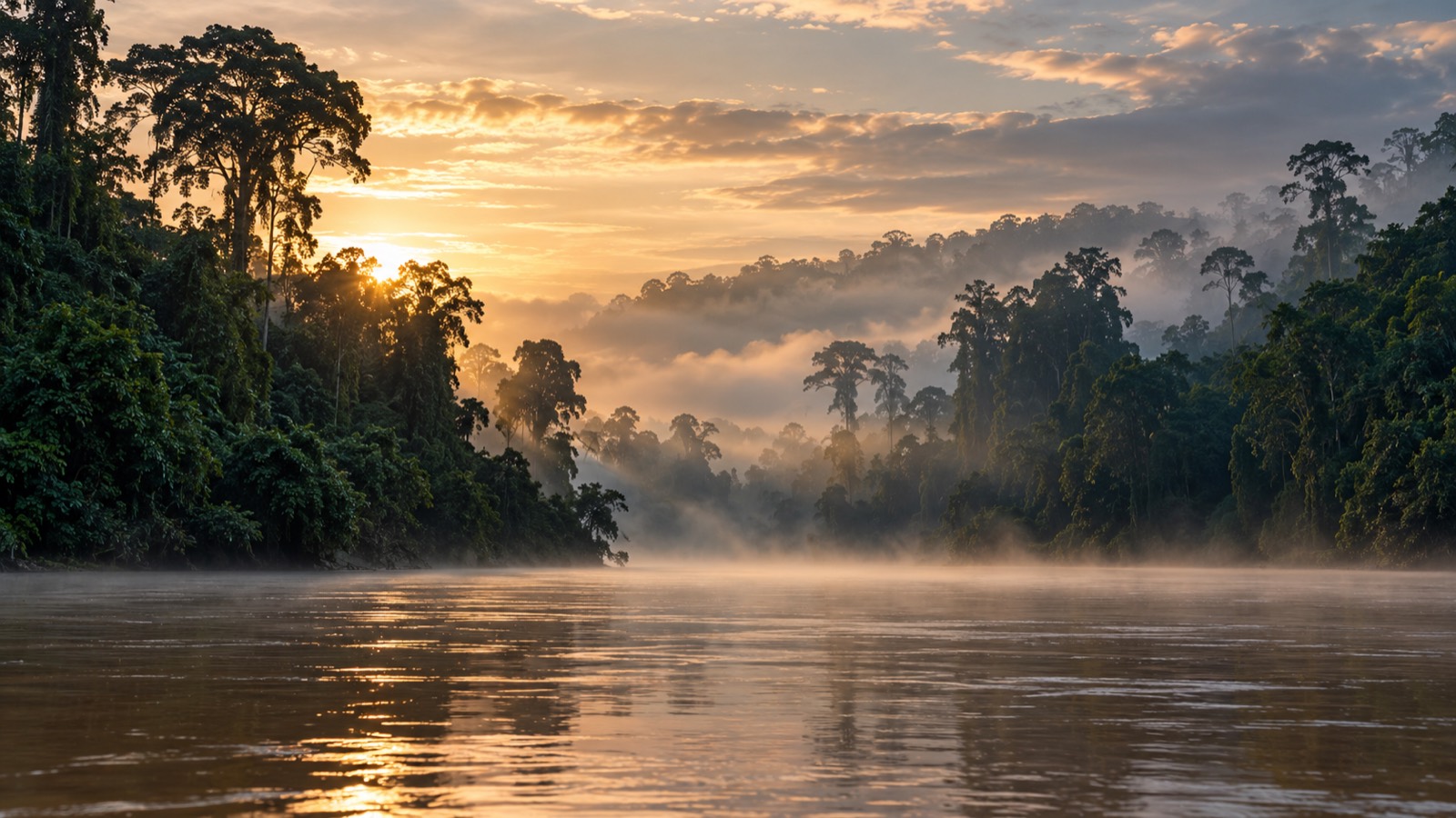 Malaysia, Rainforest to Street Food