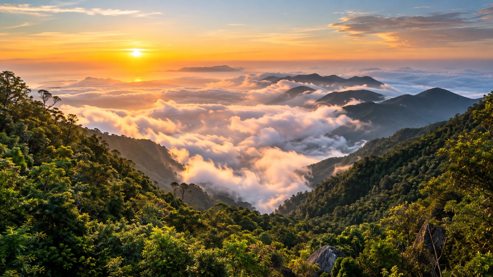 Vietnam, Culture First, Island After