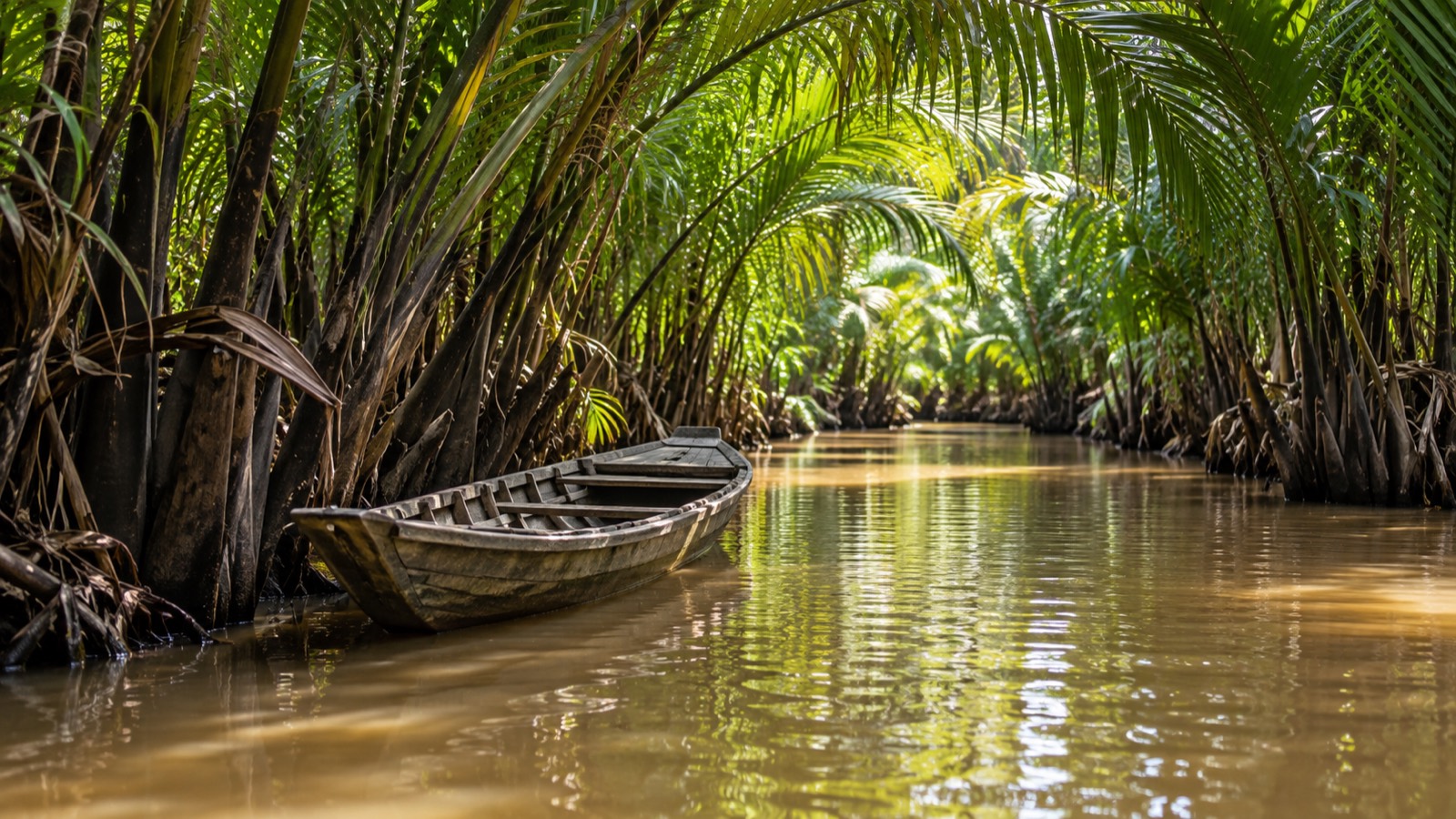 Vietnam, Tunnels and the Delta